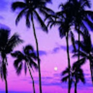 Meet your Posher, Aubrey